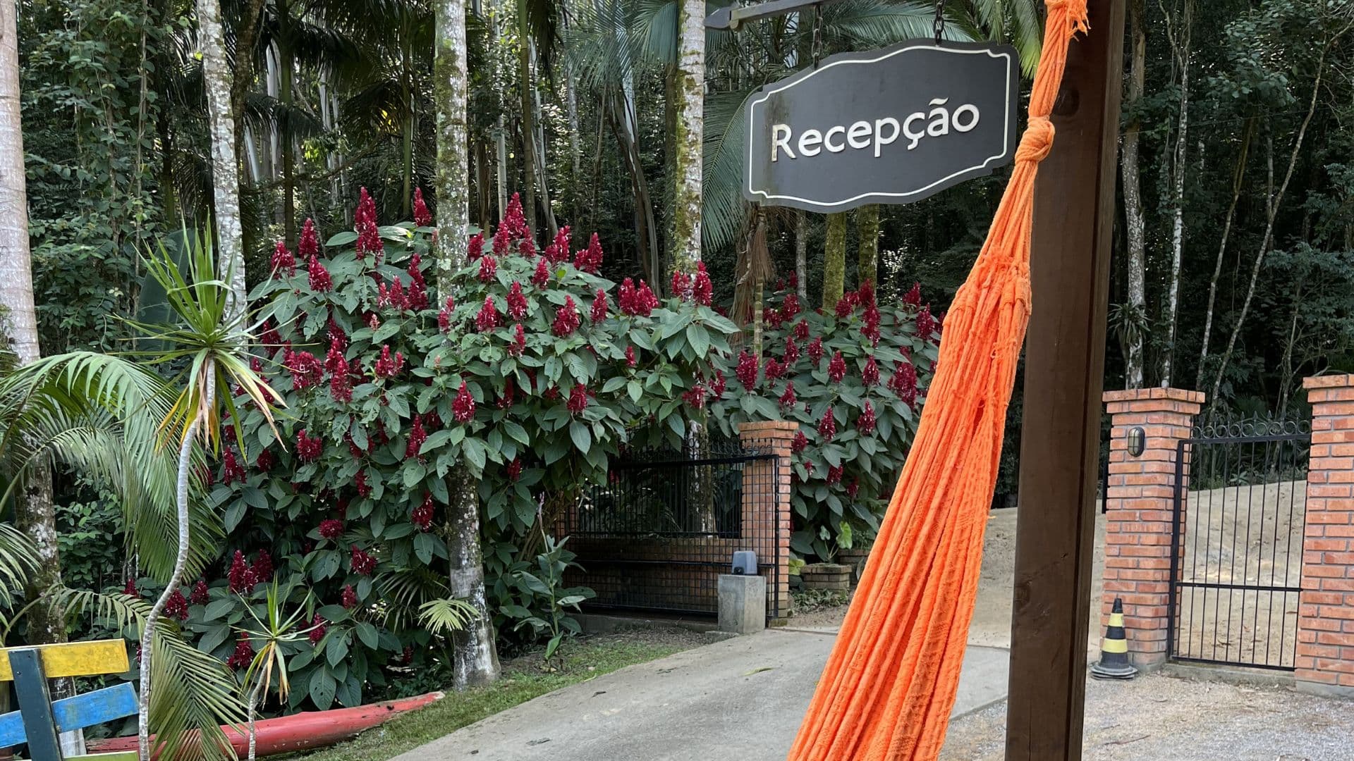 Entrada do sítio, com a placa da recepção e flores vermelhas entre as palmeiras